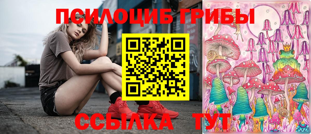 Усть-Кут  Галлюциногенные грибы MAGIC MUSHROOMS  Вход с VPN 
